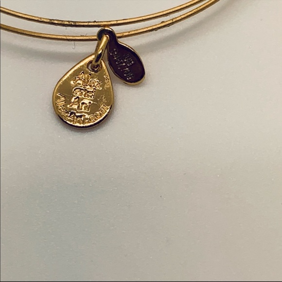 NWOT Alex and Ani Bracelet.  Gold. Expandable - Picture 2 of 6